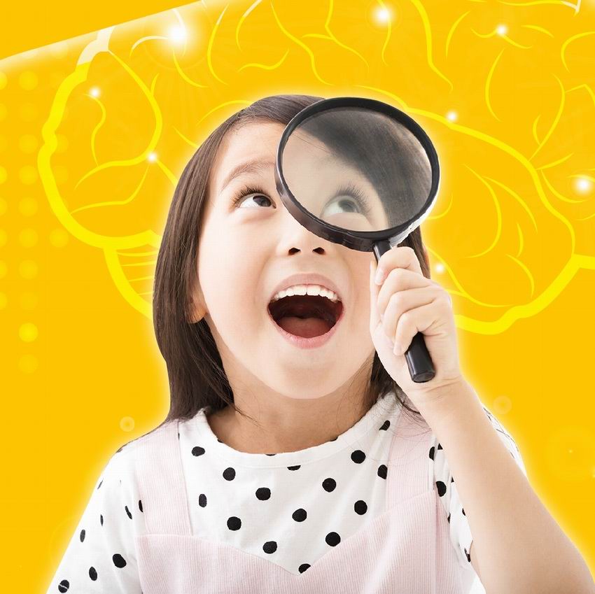 逻辑思维幼小衔接